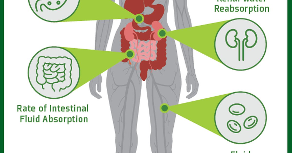 A Complete Guide to Exercise Fluid Replacement