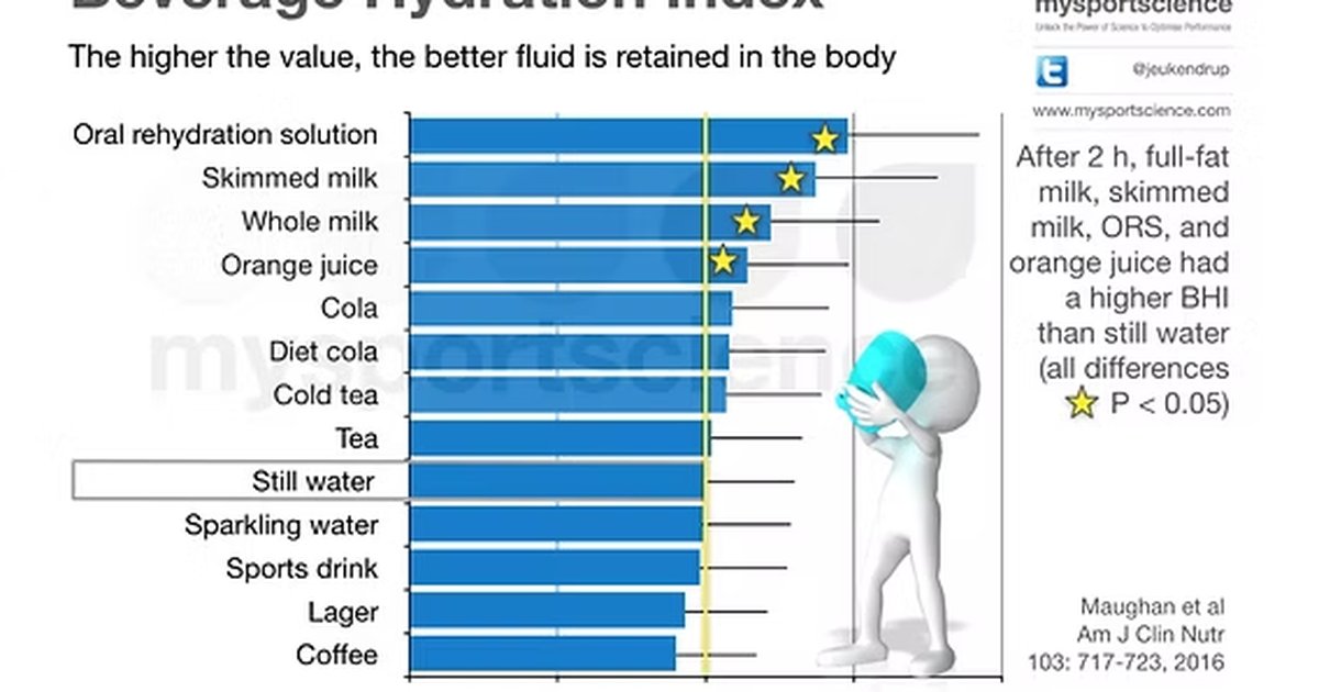 The Ultimate Guide to Beverages Ranked by Hydration Power