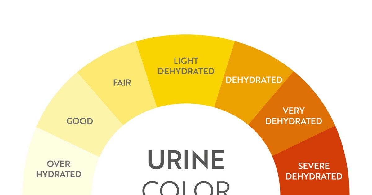 What Is Urine Color Telling You About Hydration?